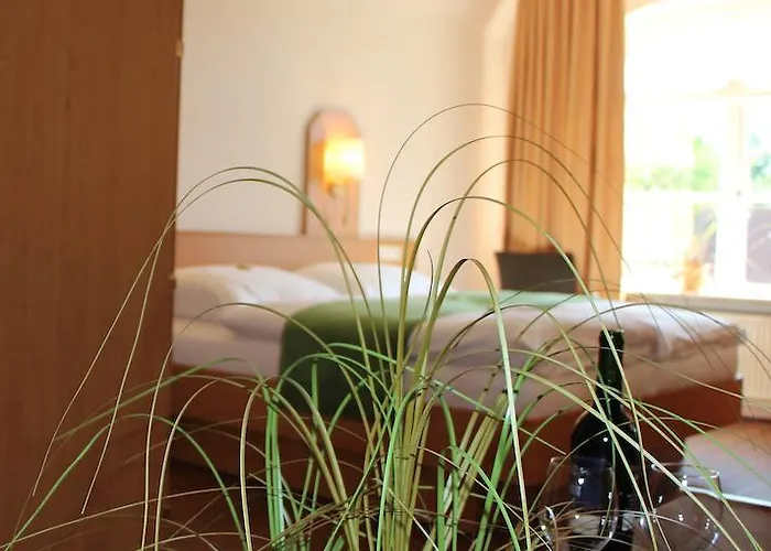 بيت ضيافة Duenen Stuuv